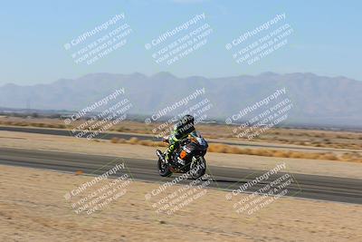 media/Jan-14-2024-SoCal Trackdays (Sun) [[2e55ec21a6]]/Back Straight Speed Pans (1145am)/